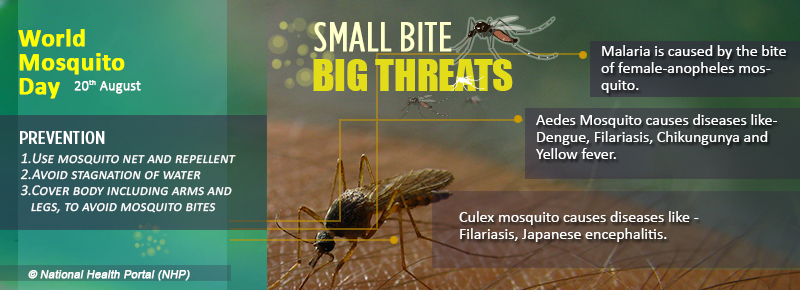 World Mosquito Day 2024 Theme