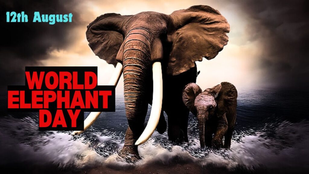 World Elephant Day Theme 2024