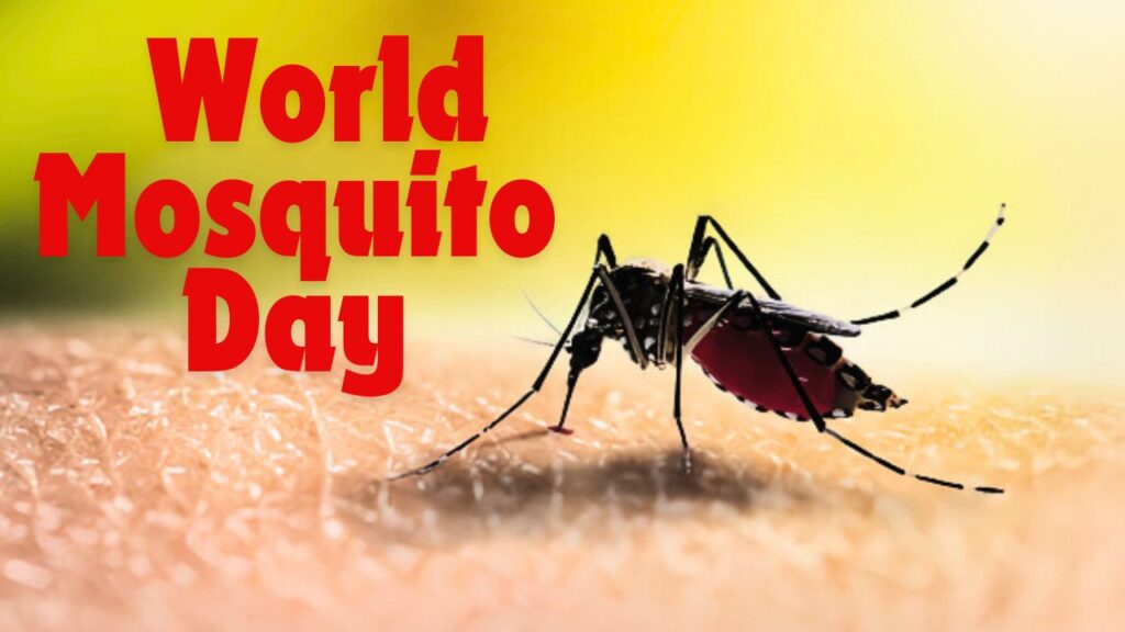 World Mosquito Day 2024 Theme