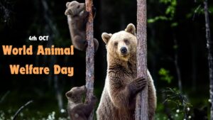 World Animal Welfare Day 2024 Theme