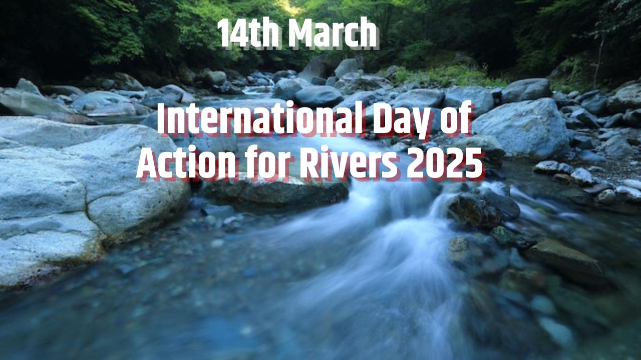 International Day of Action for Rivers 2025 In Hindi